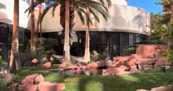 Wordless Wednesday ~ Flamingo Hotel Las Vegas, NV 2025