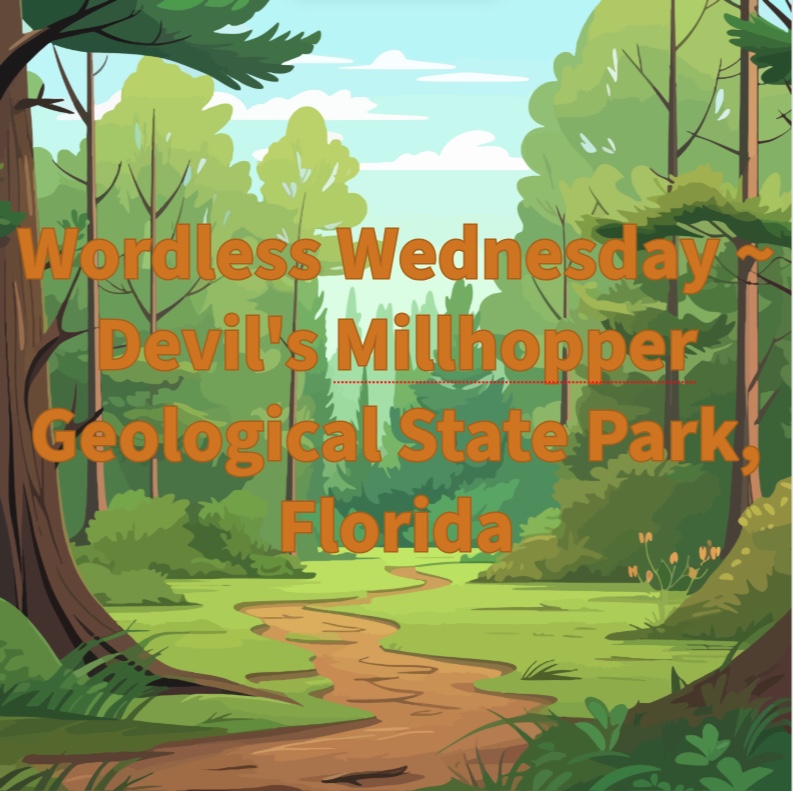 Wordless Wednesday ~ Devil’s Millhopper Geological State Park, Florida