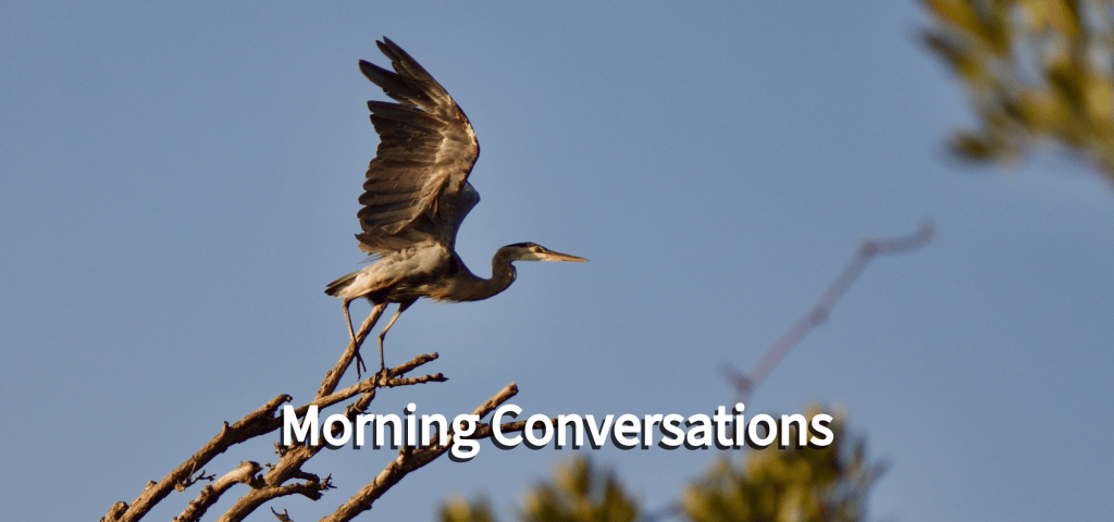 Wordless Wednesday ~ Morning Neighborhood News