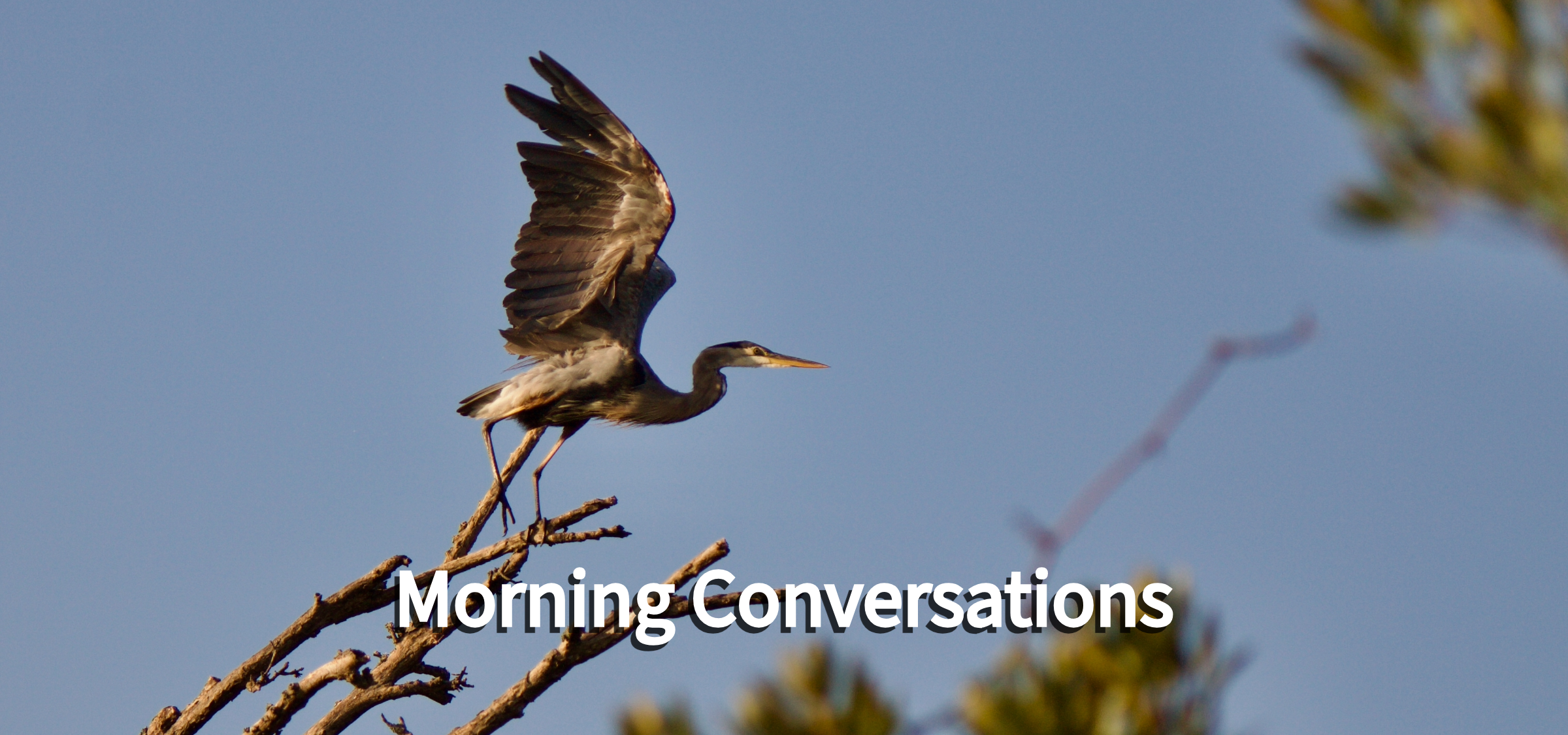 Wordless Wednesday ~ Morning Neighborhood News