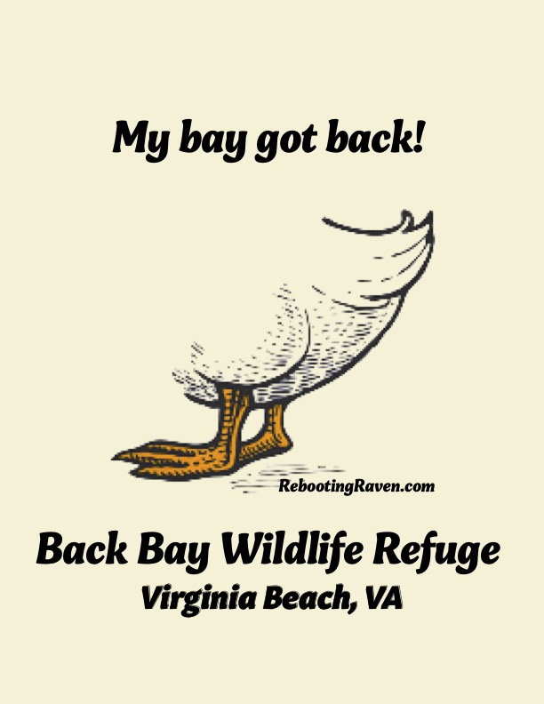 Graphic Greetings:  My Bay Got Back Tail