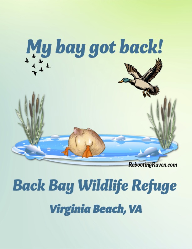 My Bay Got Back! Back Bay Wildlife Refuge, Virginia Beach, VA