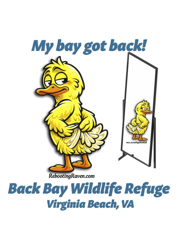 Graphic Greetings:  My Bay Got Back Mirror