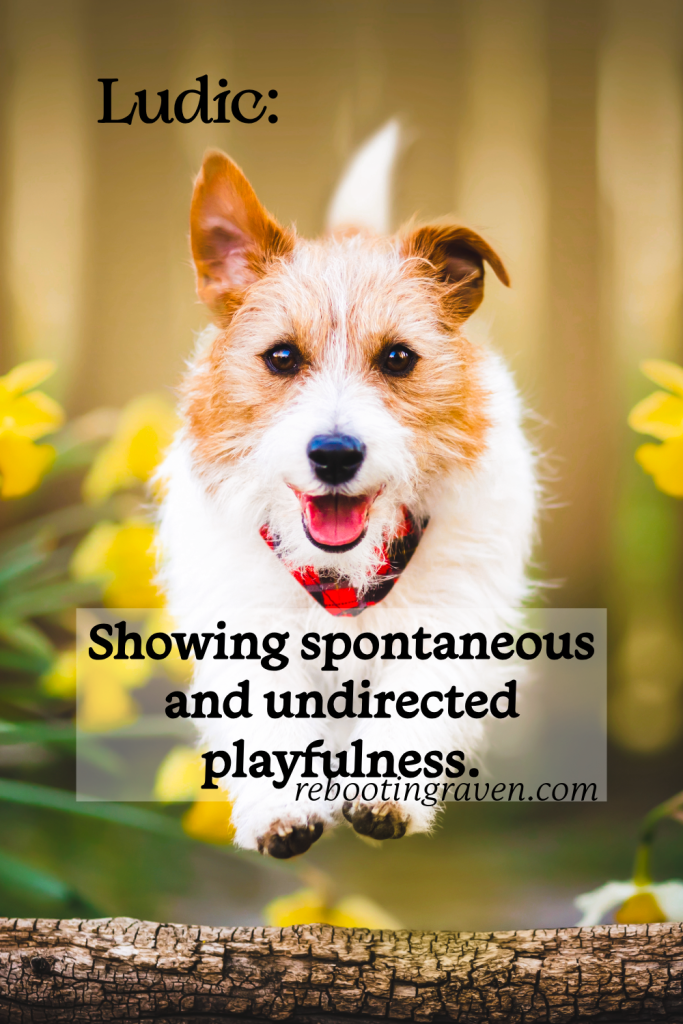 Fun Word Friday: Ludic