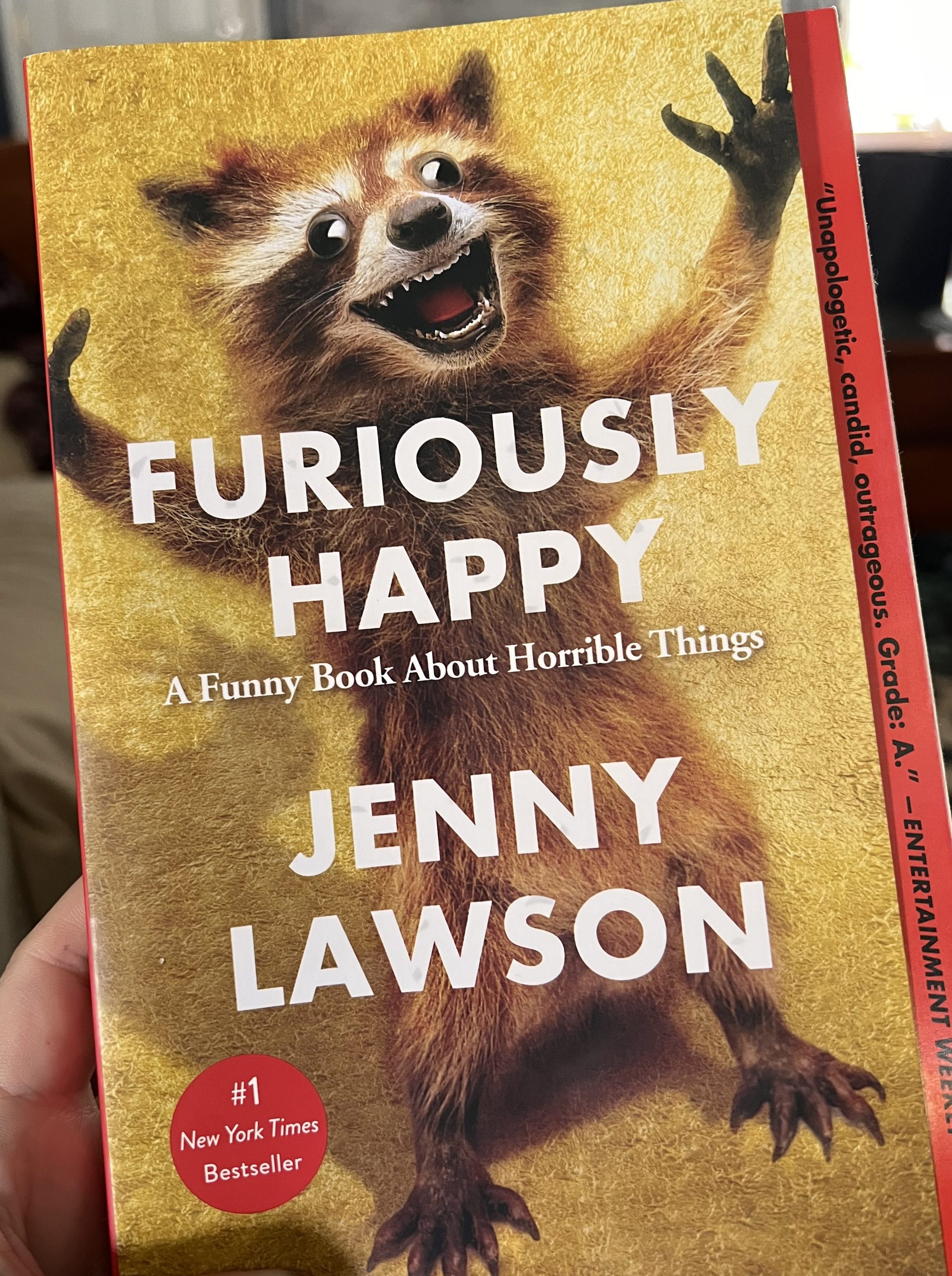 Exploring Mental Health Through Humor in Furiously Happy
